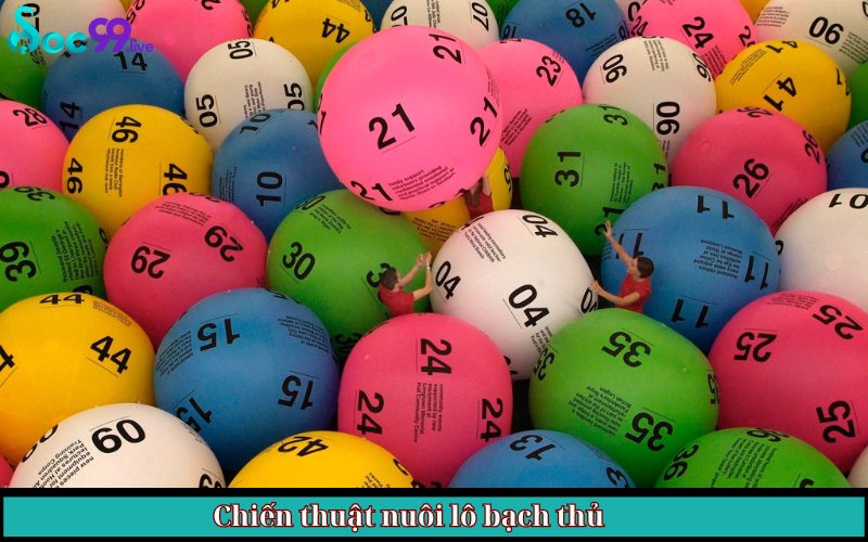 Chiến thuật nuôi lô bạch thủ