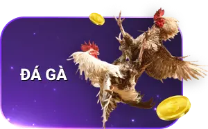 trò chơi đá gà