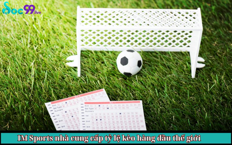 IM Sports nhà cung cấp tỷ lệ kèo hàng đầu thế giới